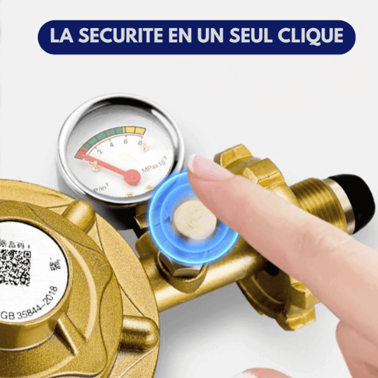 SYSTEME SÉCURISÉ POUR MAISON